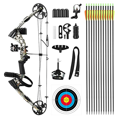 20-70lbs Compound Bow Arrow Set Archery Hunting Target Shooting RH ...