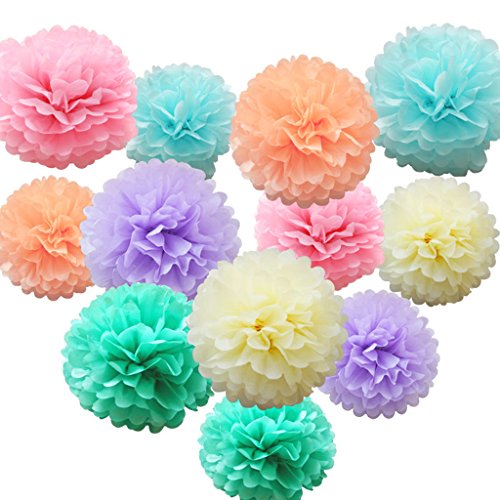 12 Pcs Assorted Rainbow Colors Tissue Paper Pom Poms Flower Balls f...