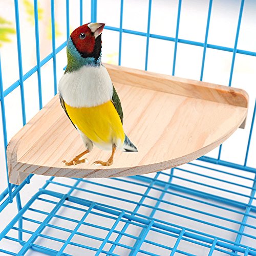 Bird Perch Platform Stand Wood for Small Animals Parrot Parakeet Co...